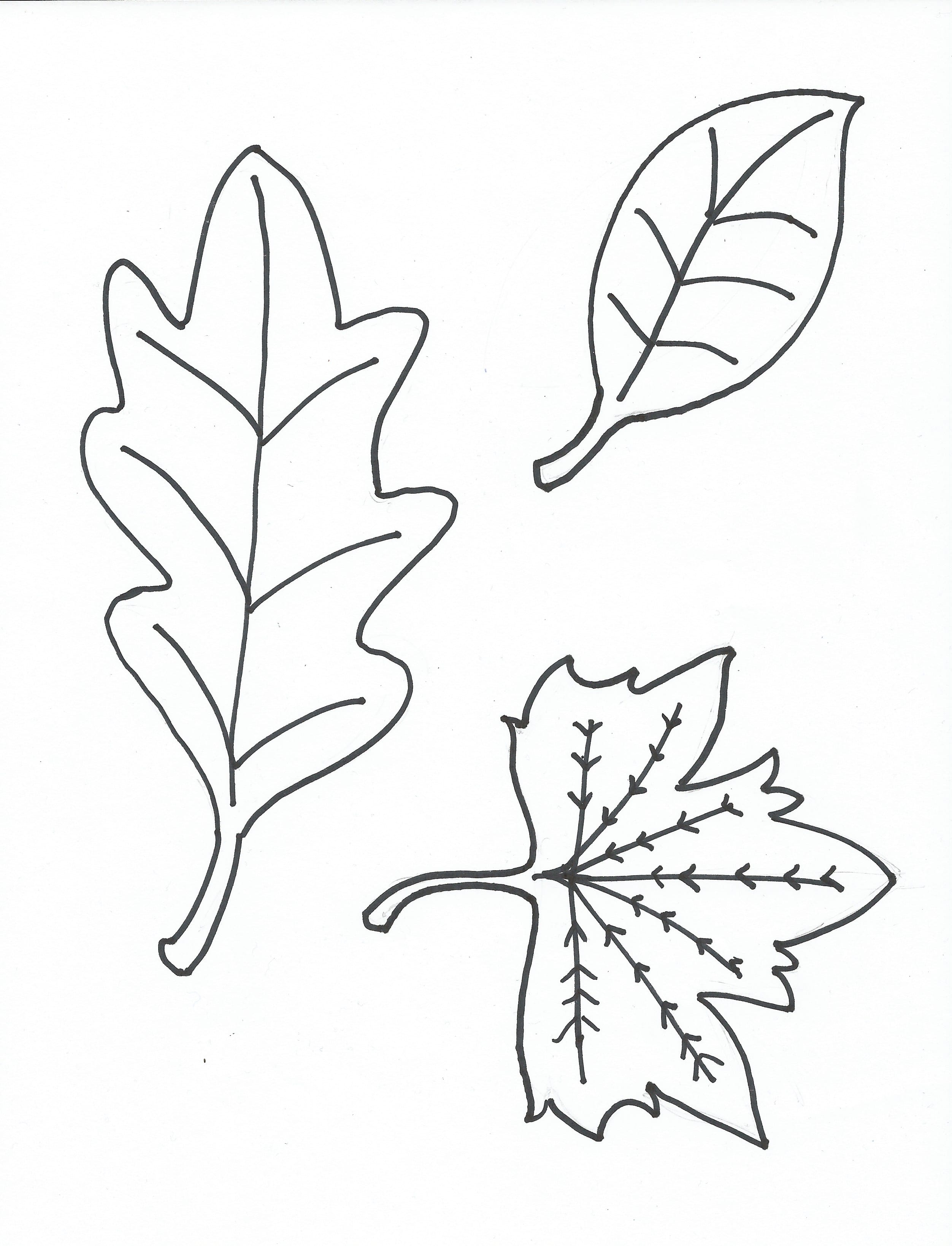 Leaves Coloring Pages For Kids