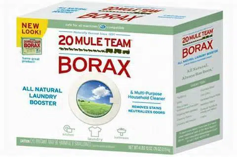 6 Natural Ways to Remove Mold and Mildew - borax