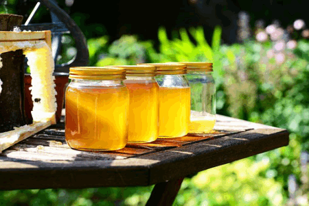 local honey