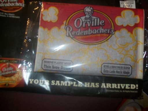 Free Popcorn Food Sample