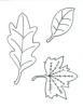 Free Printable Coloring Page Leaves
