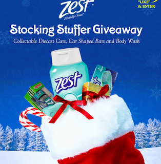 WIN Stocking Stuffers from the Zest 5 Days of Stocking Stuffer Giveaways