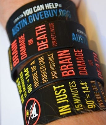 FREE Wristband To Support No Pets Or Kids Left In Hot Parked Cars (Browser Extension Install Required)