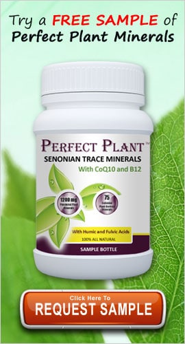 FREE Perfect Plant Minerals Sample (Email Confirmation Required)