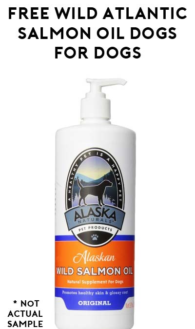 FREE Wild Atlantic Salmon Oil For Dogs Sample From Animush Raw Pet Food
