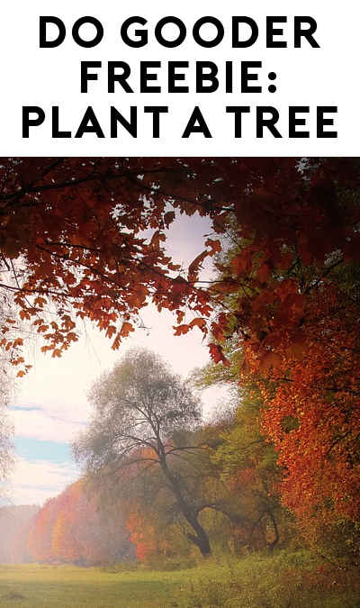 Do Good: FREE Tree Planted Across America To Aid In Protecting Forests
