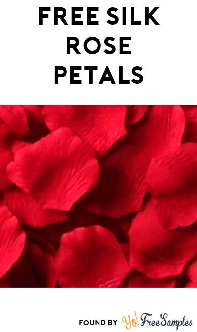 FREE Silk Rose Petals