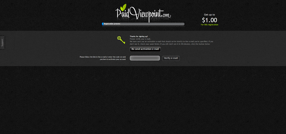 PaidViewpoint Sign Up Process