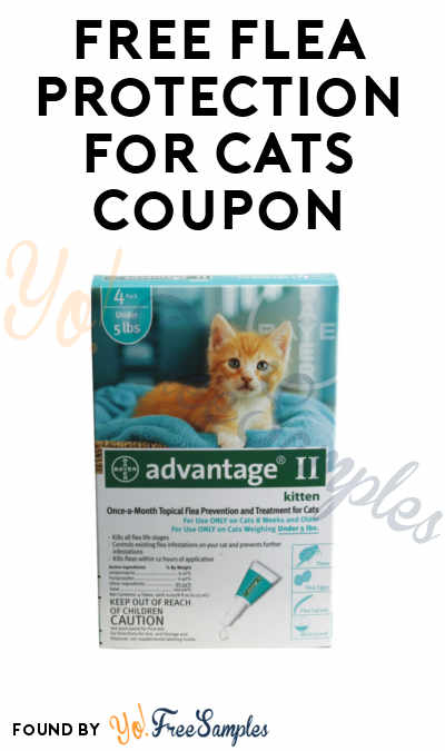 FREE Advantage II Flea Protection For Cats Single Dose PetSuperMarket Coupon
