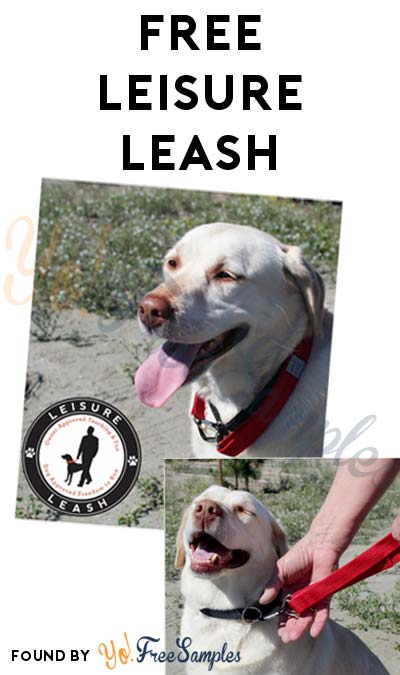 FREE Leisure Leash For Medium & Large Dogs
