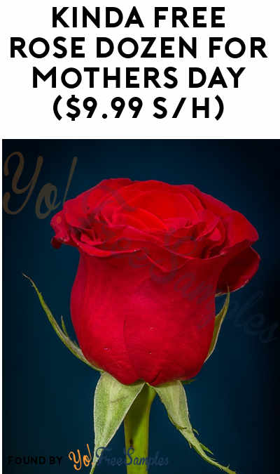 1-5 Nearly FREE Dozen Roses For Referring Friends ($9.99 Shipping Per Dozen)