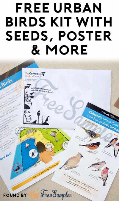 FREE Urban Birds Poster, Sticker, Sunflower Seeds & More From Celebrate Urban Birds Kit (Qualified Individuals Only)