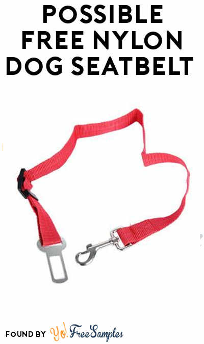 CHARGES $6.99 SHIPPING NOW: Possible FREE Nylon Dog Seatbelt