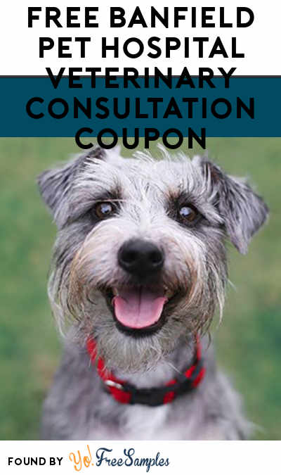 FREE Banfield Pet Hospital Veterinary Consultation Coupon