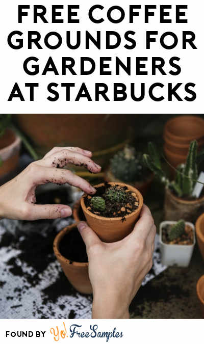 FREE Coffee Grounds For Gardeners At Starbucks