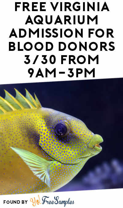 FREE Virginia Aquarium Admission For Blood Donors 3/30 From 9AM-3PM