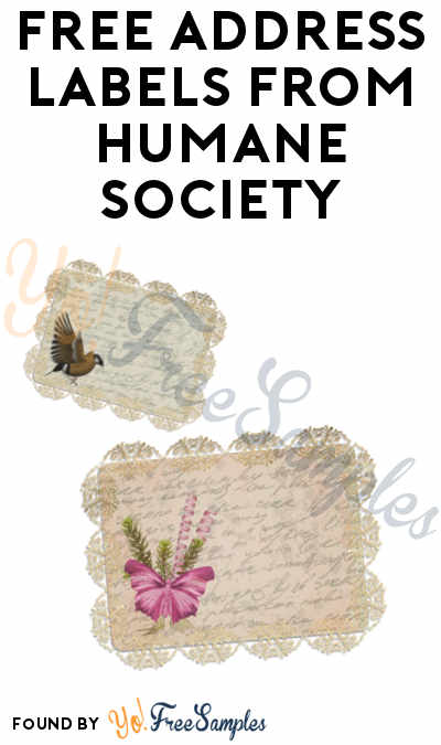 FREE Address Labels From Humane Society