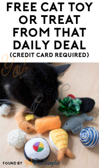 FREE Cat Toy or Treat From That Daily Deal (Credit Card Required)