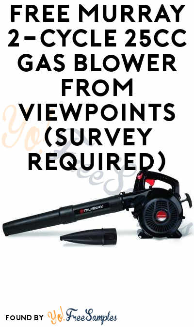 FREE Murray 2-Cycle 25cc Gas Blower​ From ViewPoints (Survey Required)