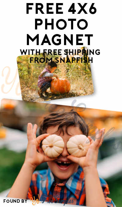 FREE 4×6 Photo Magnet With FREE Shipping From Snapfish