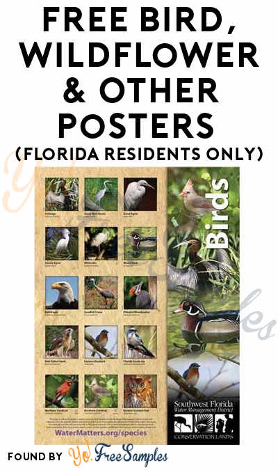 FREE Bird, Wildflower & Other Publications (Florida Residents Only)