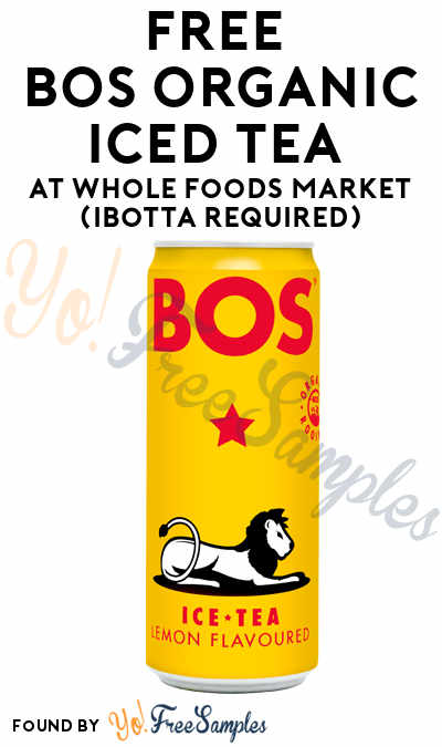 FREE BOS Organic Iced Tea At Whole Foods Market (Ibotta Required)
