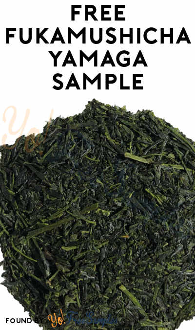 FREE Fukamushicha Yamaga Tea Sample