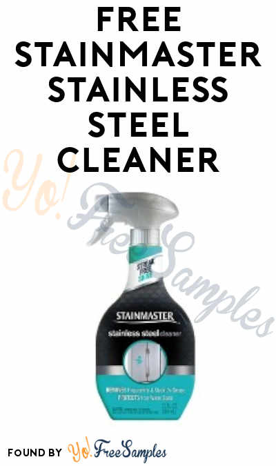 FREE STAINMASTER Stainless Steel Cleaner From ViewPoints (Survey Required)