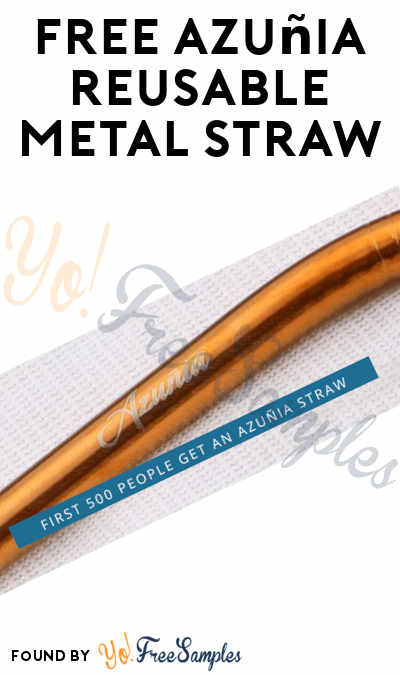 FREE Azuñia Reusable Metal Straw