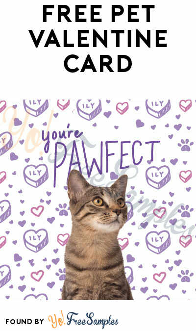 FREE Pet Photo Valentine’s Day Card [Verified Received By Mail]