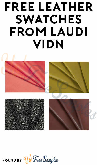 FREE Leather Swatches from Laudi Vidn
