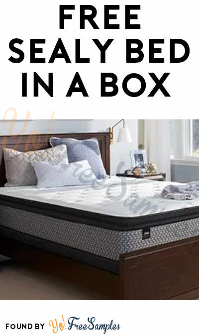 FREE Sealy Bed in a Box From ViewPoints (Must Apply)