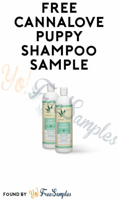 FREE CannaLove Puppy Shampoo Sample
