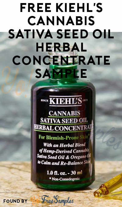 FREE Kiehl’s Cannabis Sativa Seed Oil Herbal Concentrate Sample