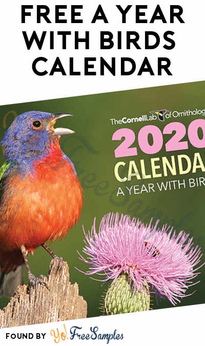 FREE A Year With Birds 2020 Calendar