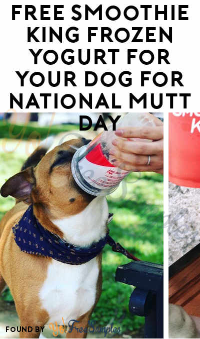 FREE Smoothie King Frozen Yogurt For Your Dog For National Mutt Day