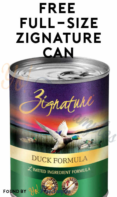 3 FREE Zignature Dog Food Cans