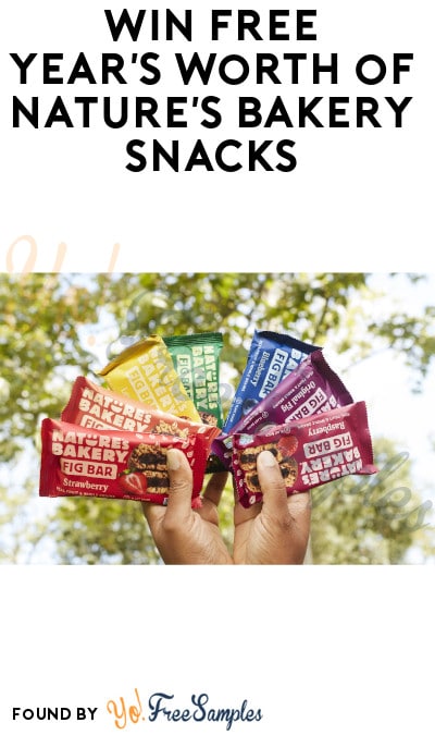 Win FREE Year’s Worth of Nature’s Bakery Snacks (Instagram + Email Signup Required)