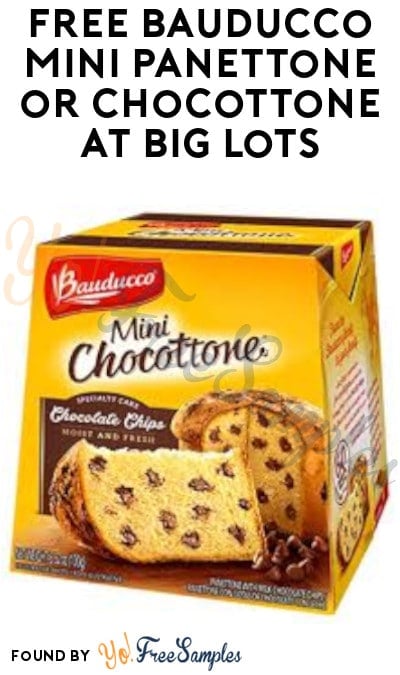 FREE Bauducco Mini Panettone or Chocottone at Big Lots (Rewards Card Required)