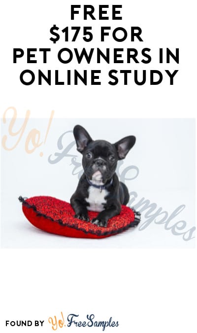 FREE $175 for Pet Owners in Online Study (Must Apply)