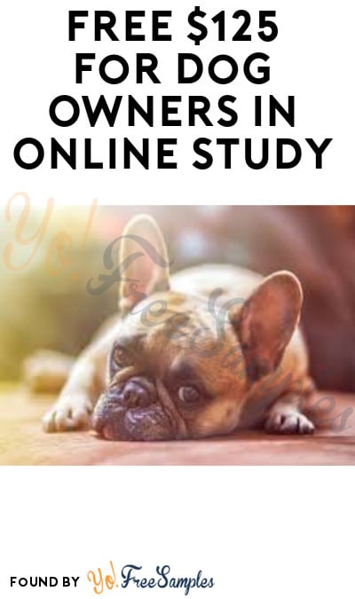 FREE $125 for Dog Owners in Online Study (Must Apply)