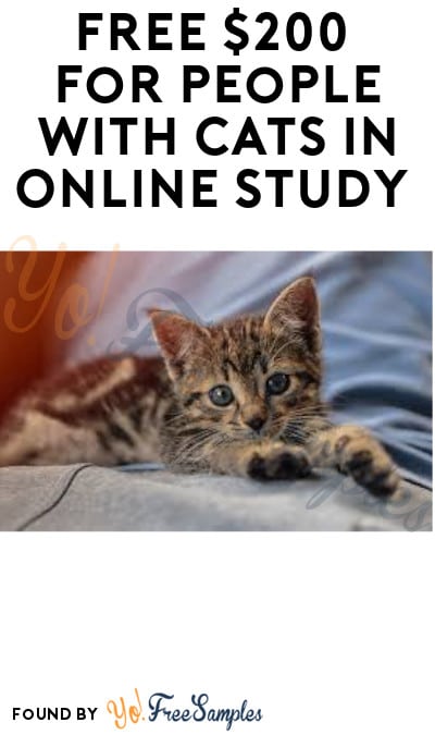 FREE $200 for People with Cats in Online Study (Must Apply)