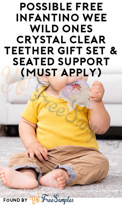 Possible FREE Infantino Wee Wild Ones Crystal Clear Teether Gift Set & Seated Support (Must Apply)