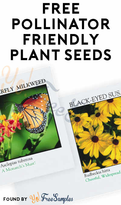 FREE Pollinator-Friendly Plant Seed Packs