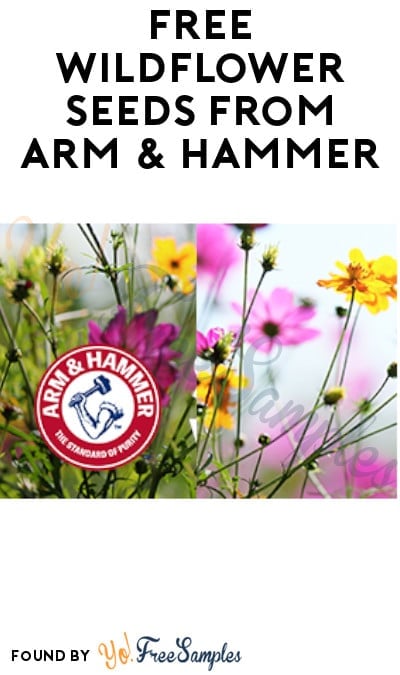 FREE Wildflower Seeds from Arm & Hammer