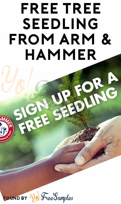 FREE Tree Seedling From Arm & Hammer