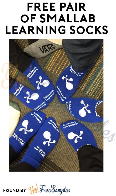 FREE Pair of SMALLab Learning Socks (Email Required)
