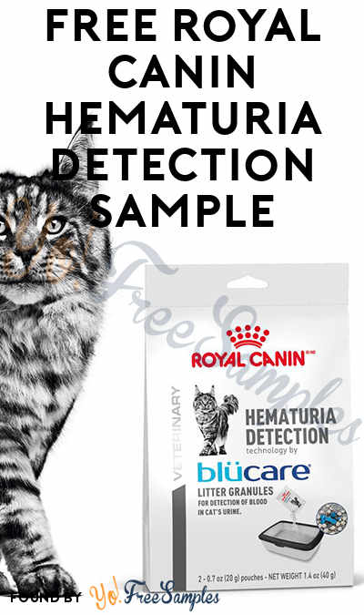 FREE Royal Canin Hematuria Detection Sample