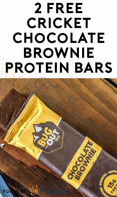 2 FREE Cricket Chocolate Brownie Protein Bars