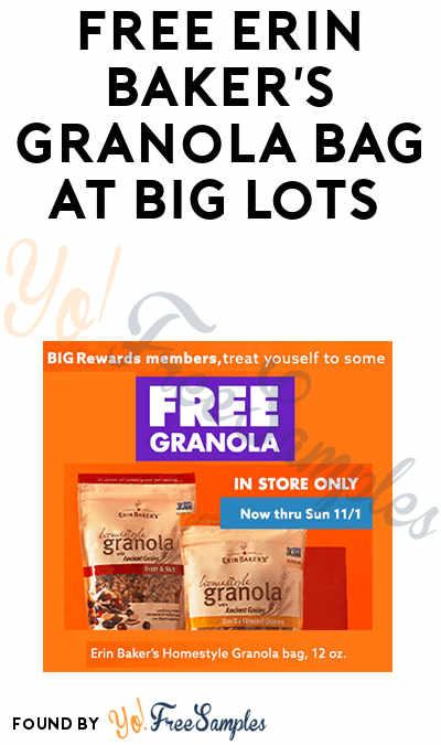 FREE Erin Baker’s Granola Bag at Big Lots (Rewards Card Required)